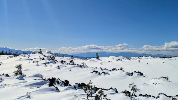 信州諏訪の冬。山で見つけた、やさしい余白