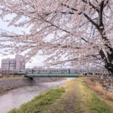 春の不調に｜肩こり・首こりもやさしく整える施術のご提案