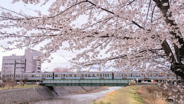 春の不調に｜肩こり・首こりもやさしく整える施術のご提案